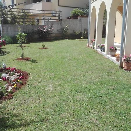 Apartment Barba Ližnjan Zewnętrze zdjęcie