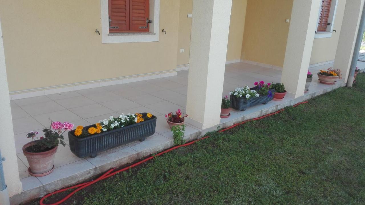 Apartment Barba Ližnjan Zewnętrze zdjęcie